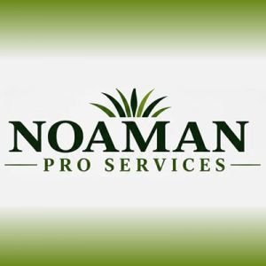 Noaman pro services