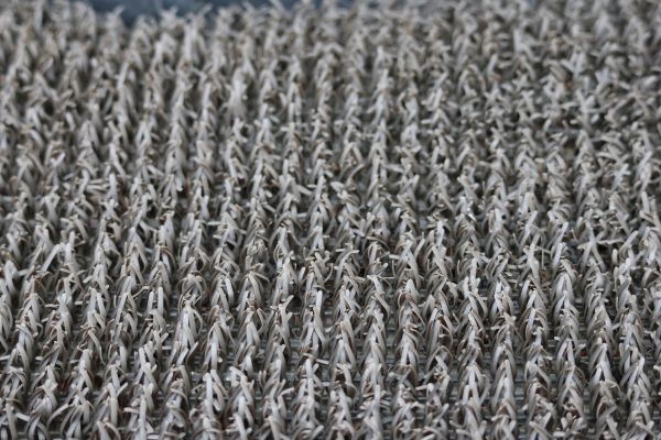 Outdoor Carpet Repair